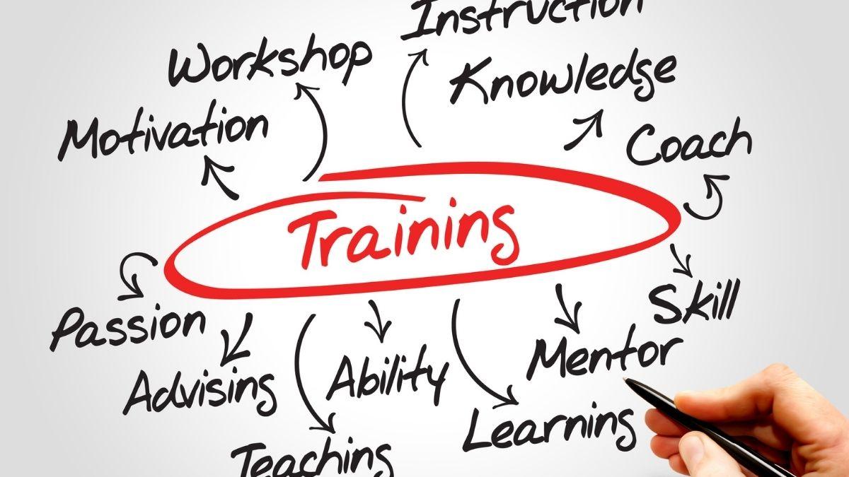 seta consulting CBIs