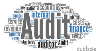 accounting and audit CBIs